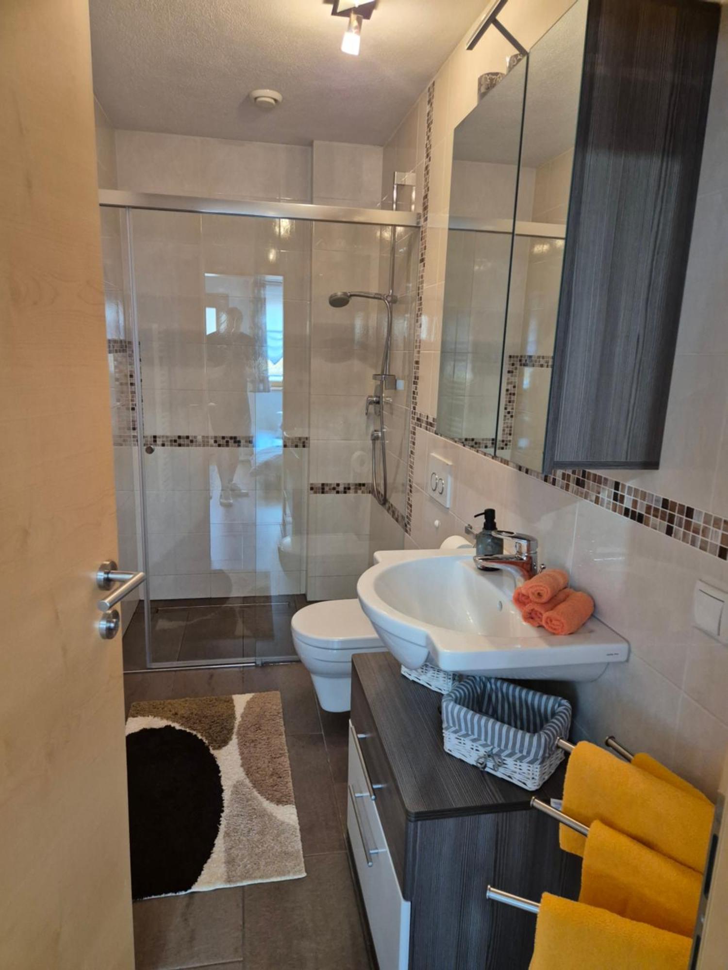 Appartement Alpina Zillertal Aschau Im Zillertal Eksteriør billede